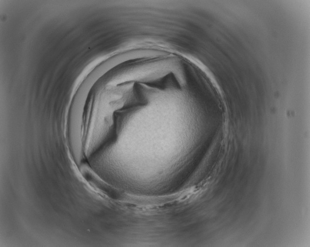 X0000083970815200703161529