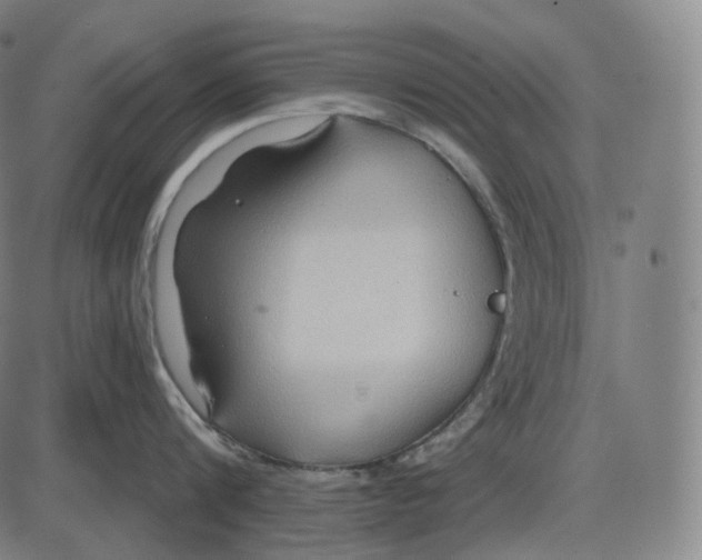 X0000083970816200703161529