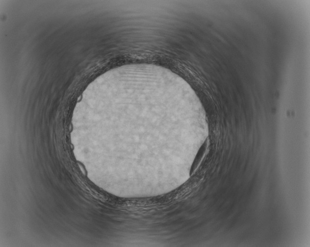 X0000083970817200703161529