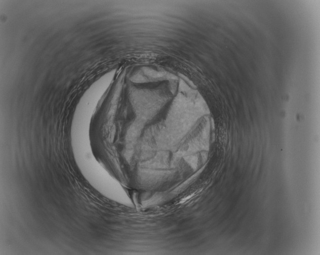 X0000083970818200703161529