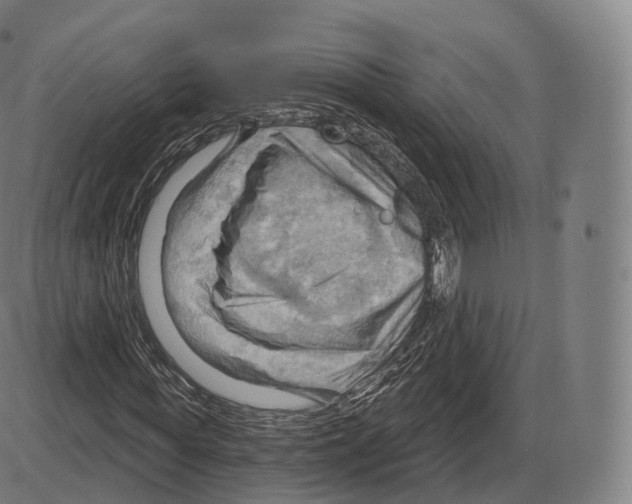 X0000083970819200703161529