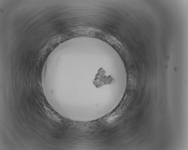 X0000083970820200703161529