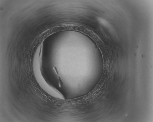 X0000083970821200703161529