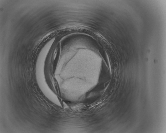 X0000083970822200703161529