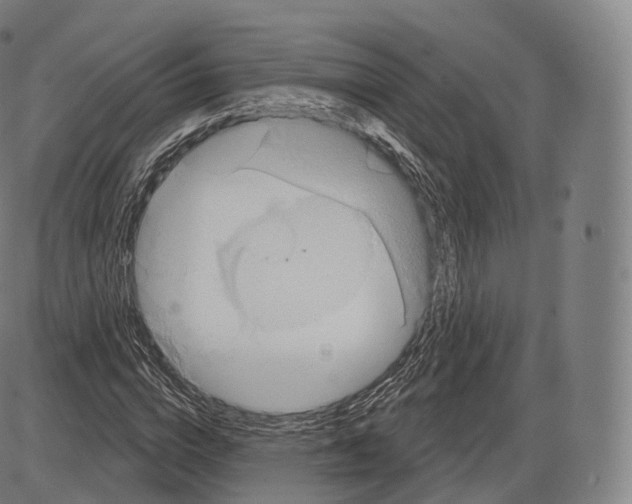 X0000083970824200703161529