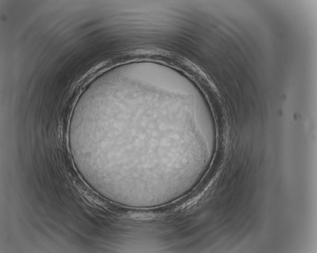 X0000083970825200703161529