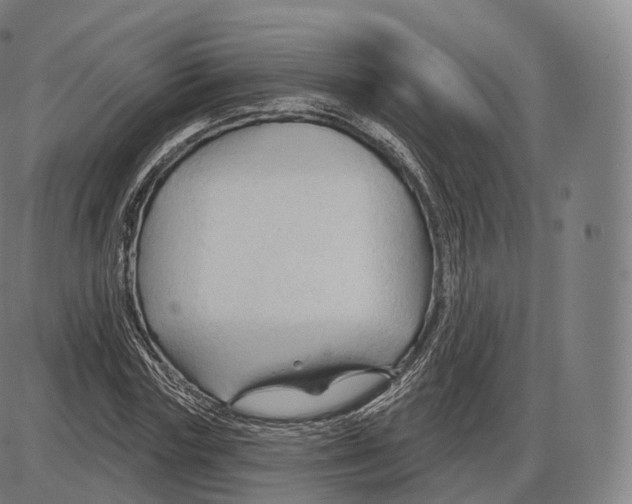 X0000083970827200703161529