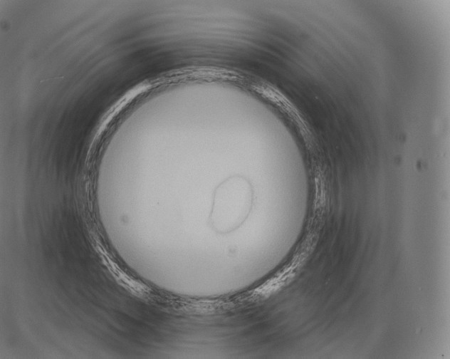 X0000083970828200703161529