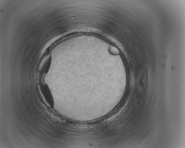 X0000083970829200703161529