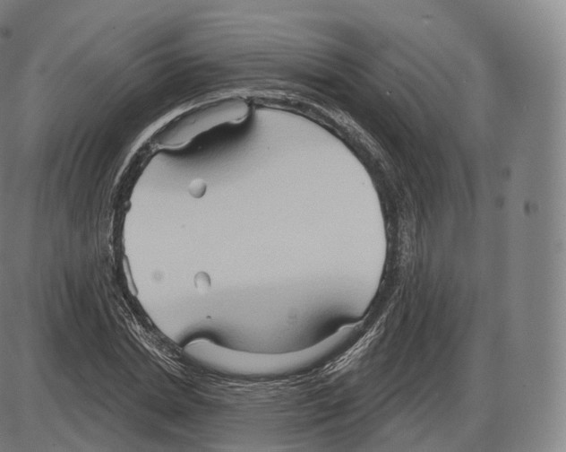 X0000083970830200703161529