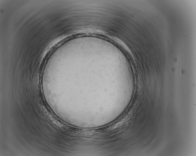 X0000083970831200703161529