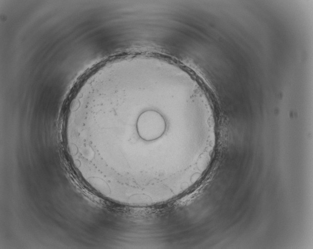 X0000083970832200703161529