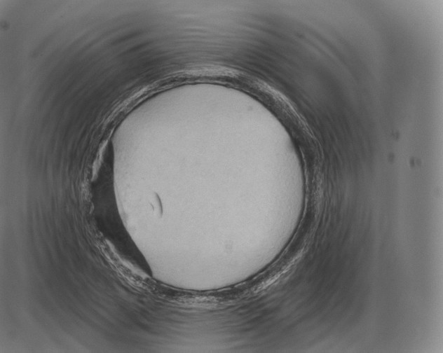 X0000083970833200703161529