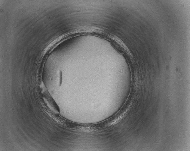 X0000083970834200703161529