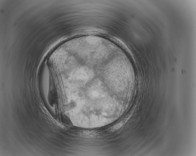 X0000083970835200703161529