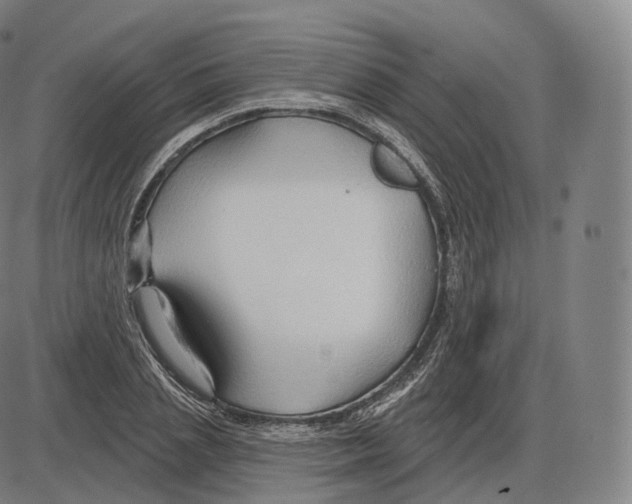 X0000083970837200703161529