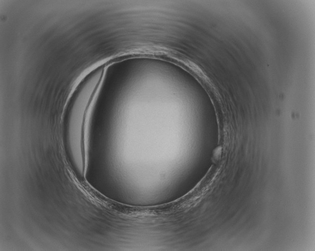 X0000083970838200703161529