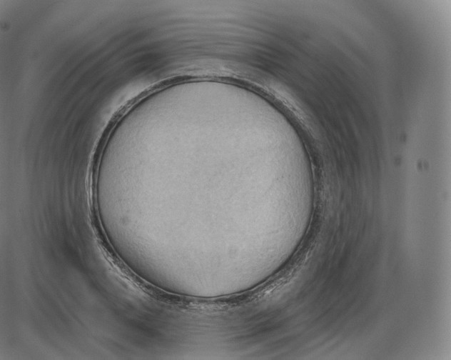 X0000083970840200703161529