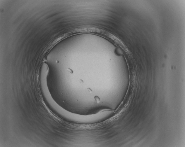 X0000083970841200703161529