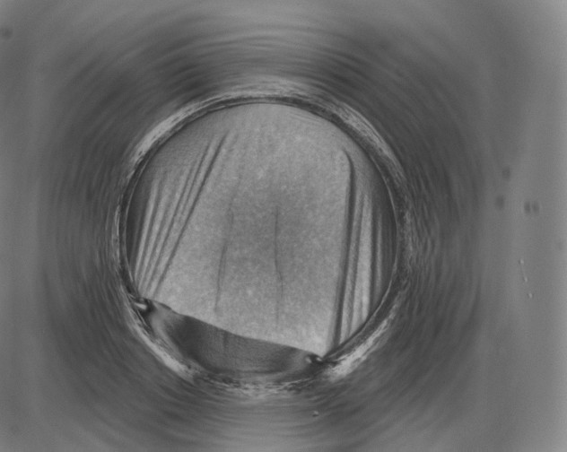 X0000083970842200703161529