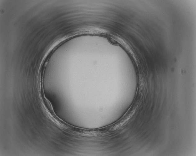 X0000083970843200703161529