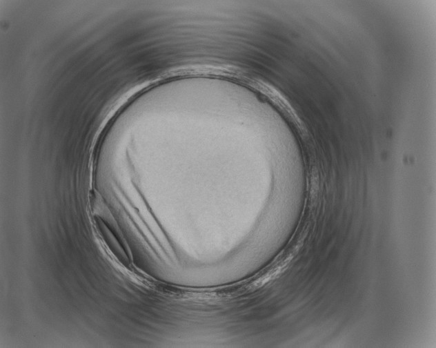 X0000083970844200703161529