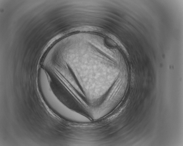 X0000083970845200703161529