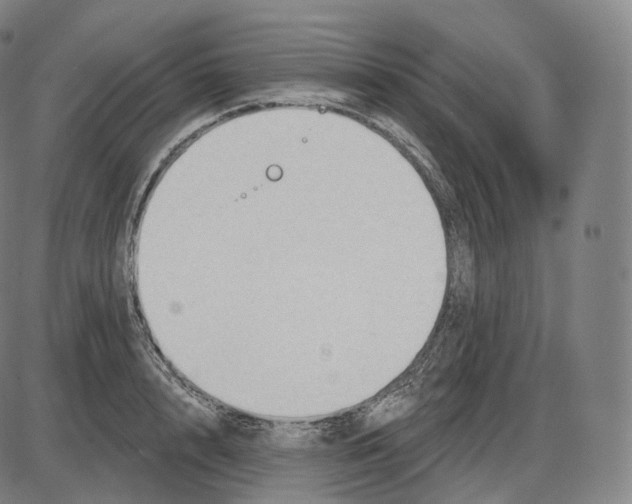 X0000083970848200703161529