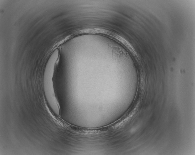 X0000083970849200703161529