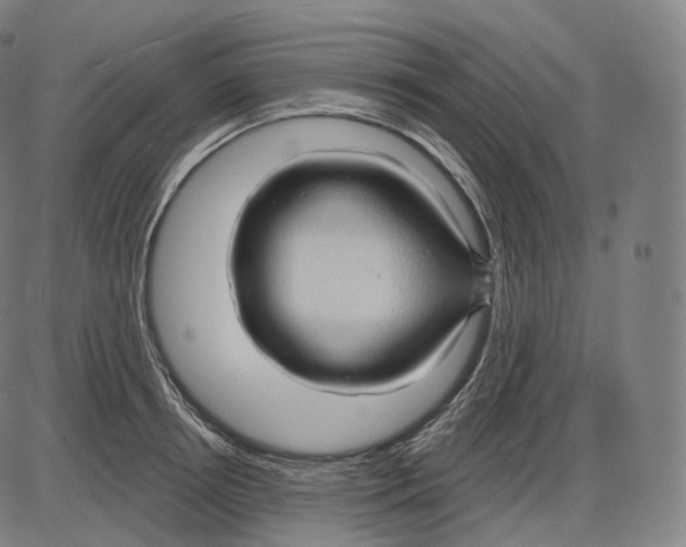 X0000083970850200703161529