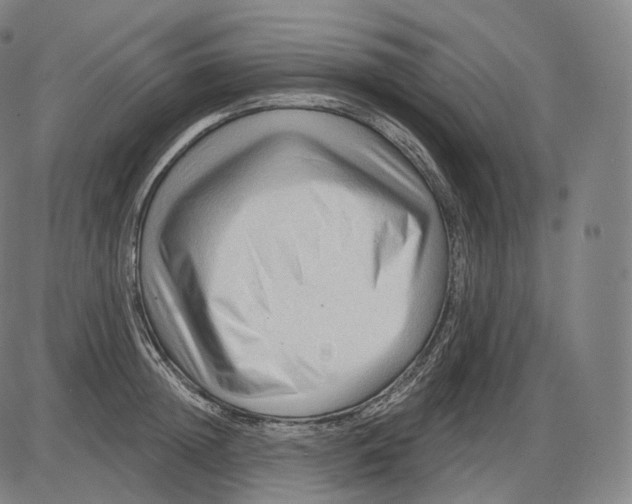 X0000083970852200703161529