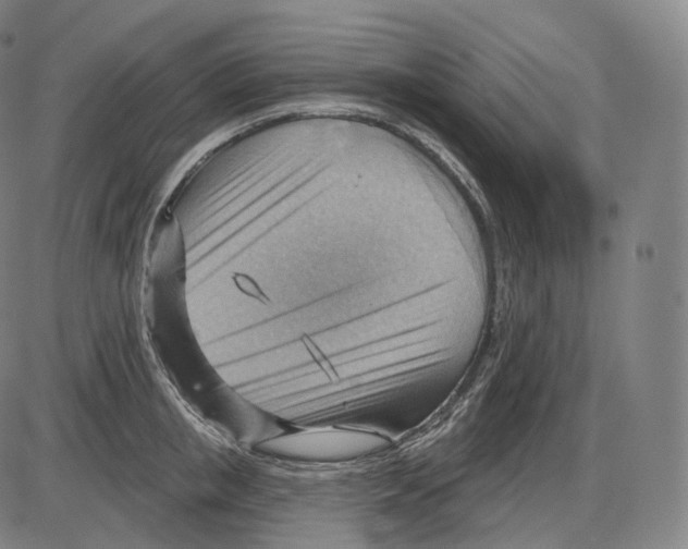 X0000083970853200703161529