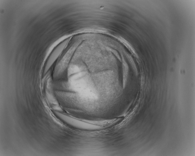 X0000083970854200703161529