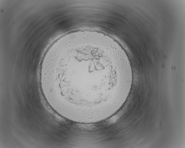 X0000083970856200703161529