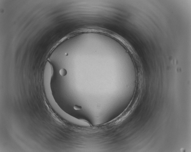 X0000083970857200703161529