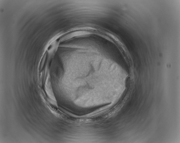 X0000083970858200703161529