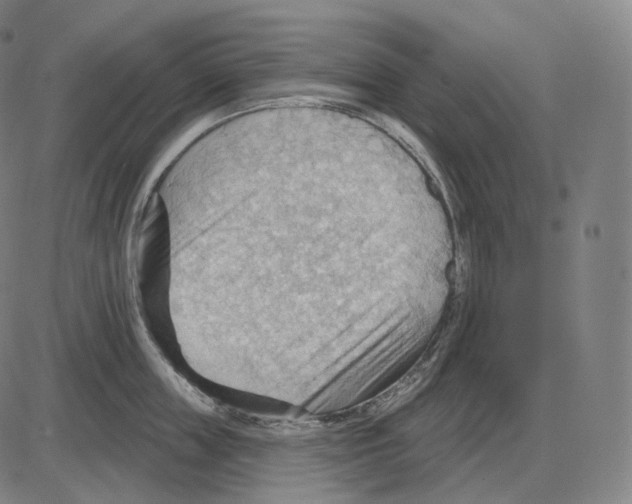 X0000083970859200703161529