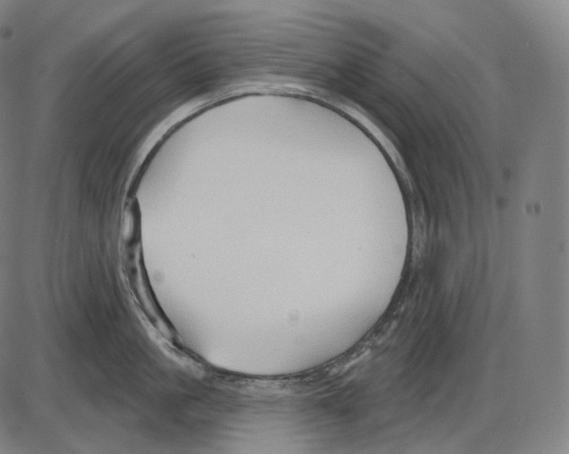 X0000083970861200703161529