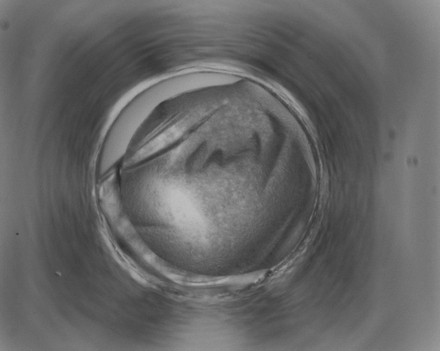 X0000083970862200703161529