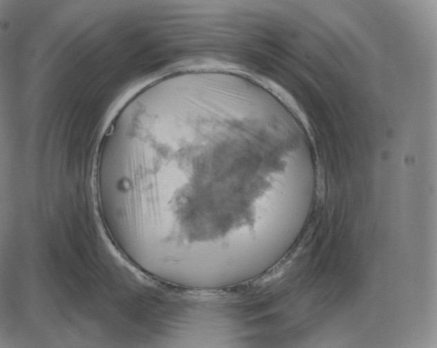 X0000083970863200703161529