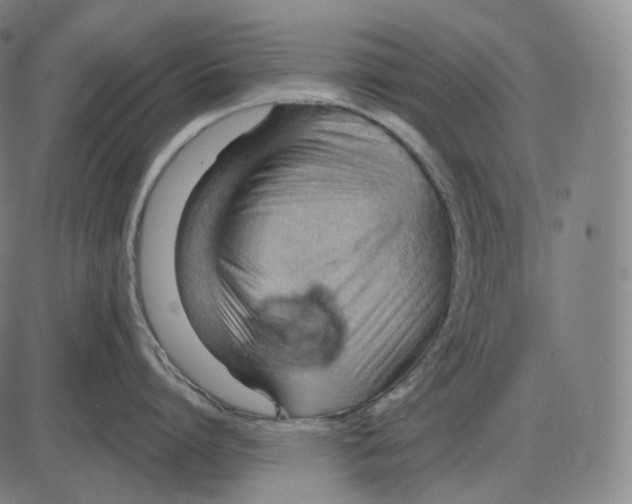 X0000083970864200703161529