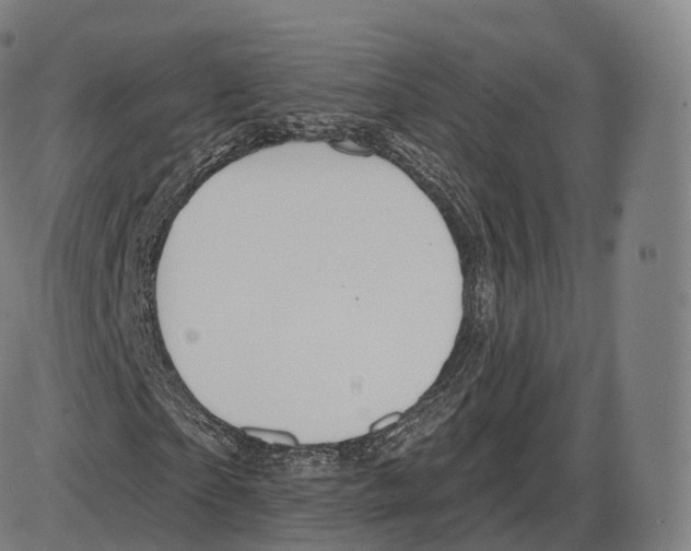 X0000083970865200703161529