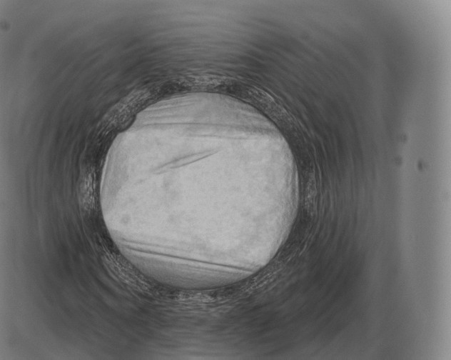 X0000083970866200703161529