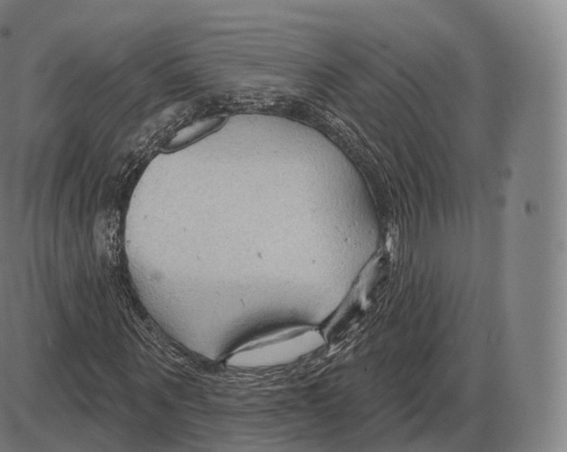 X0000083970867200703161529