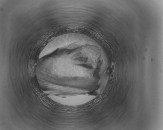 X0000083970868200703161529