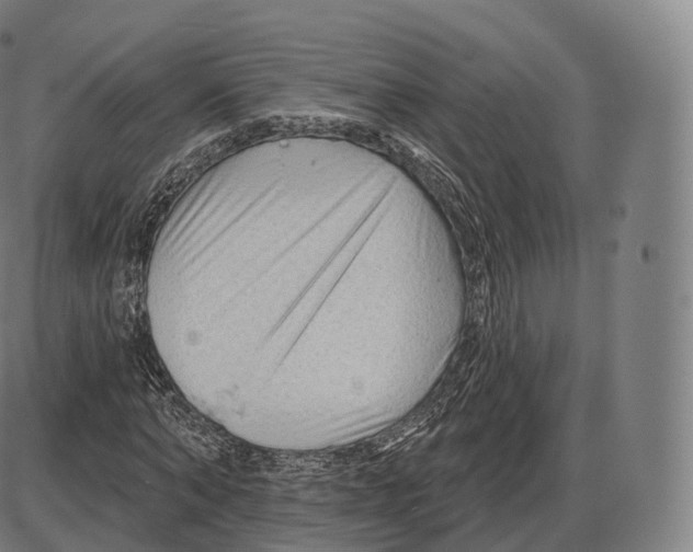 X0000083970870200703161529