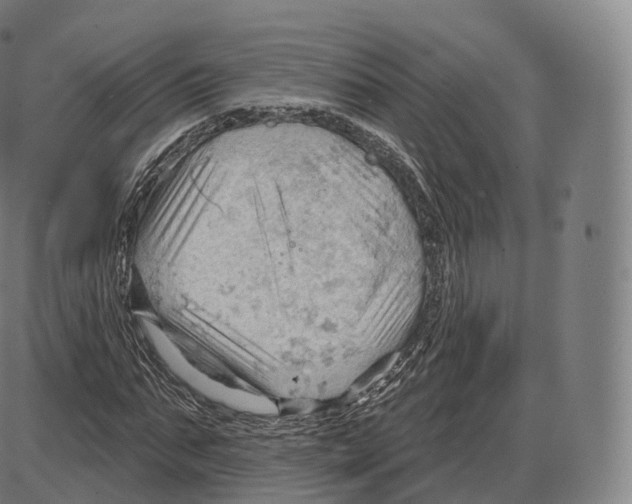 X0000083970871200703161529