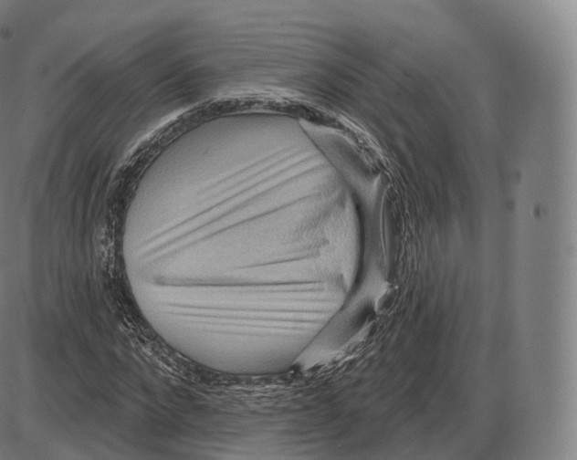 X0000083970872200703161529