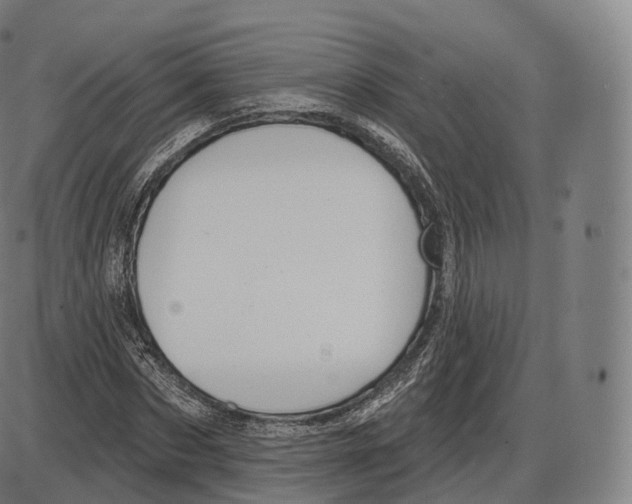 X0000083970873200703161529