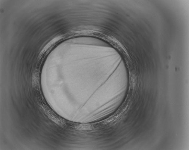 X0000083970874200703161528